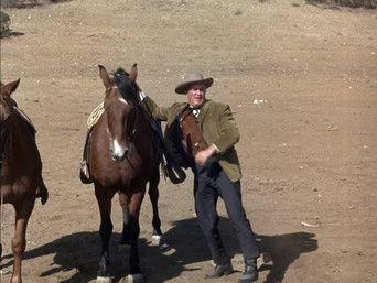 A Gallows for Sam Horn