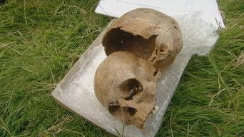 Swords, Skulls and Strongholds