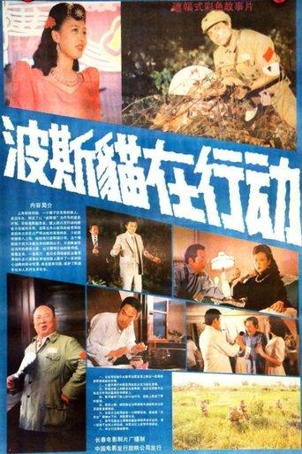 Persian Cat Is on Action film afişi