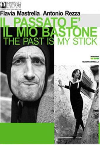 The Past is My Stick film afişi