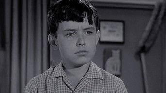 Beaver's Report Card