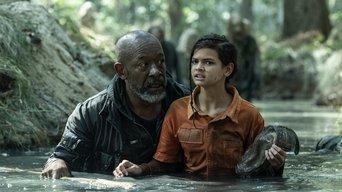 Remember What They Took from You