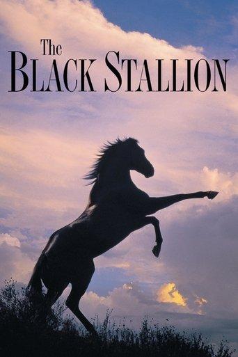 The Black Stallion film afişi