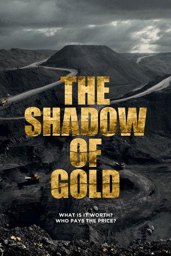 The Shadow of Gold dizi afişi