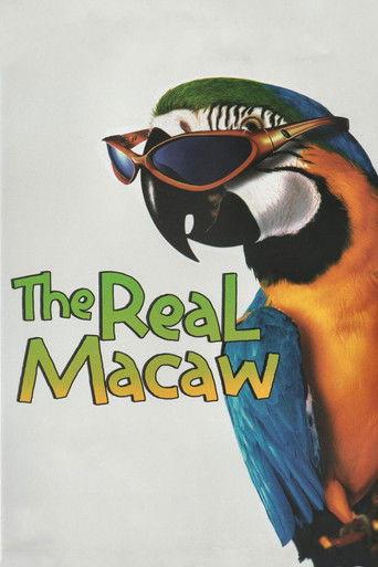 The Real Macaw film afişi