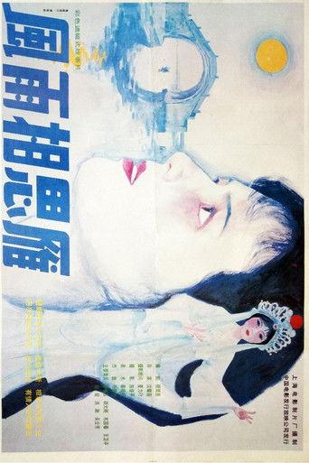 风雨相思雁 film afişi