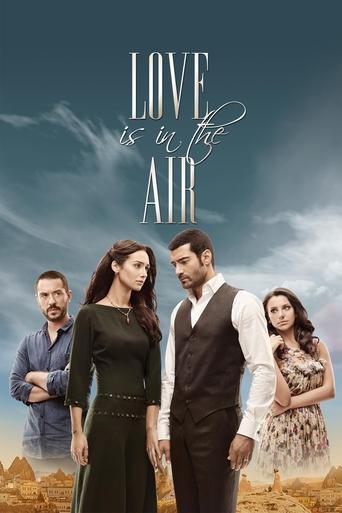 Love Is in the Air dizi afişi