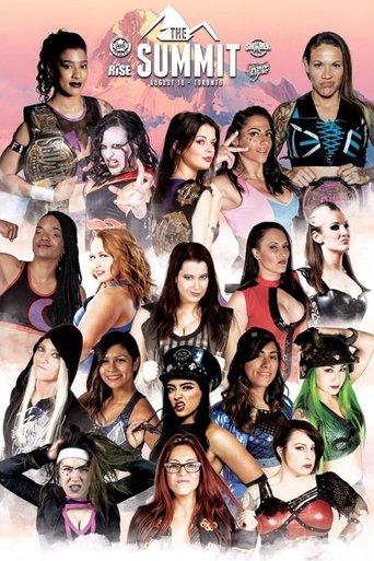 The Summit film afişi