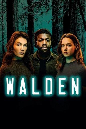 Walden film afişi