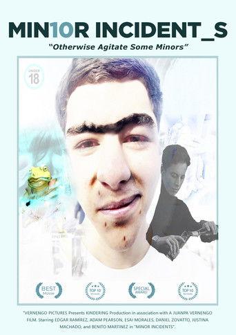 Minor Incidents film afişi
