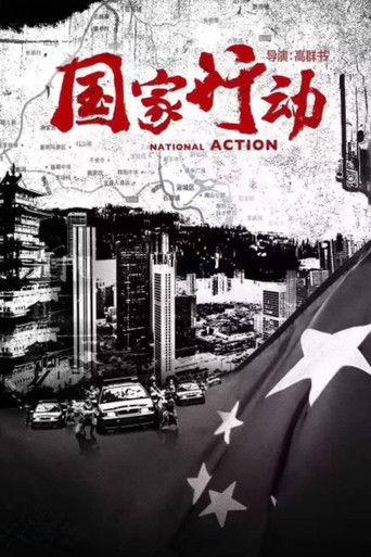National Action dizi afişi