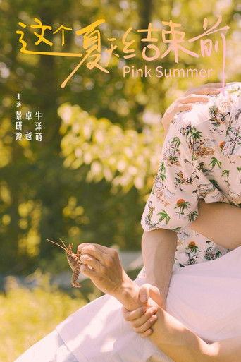 Pink Summer dizi afişi