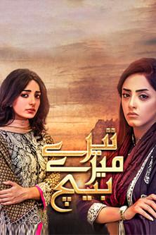 Tere Mere Beech dizi afişi