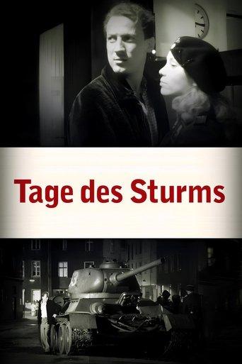 Tage des Sturms film afişi