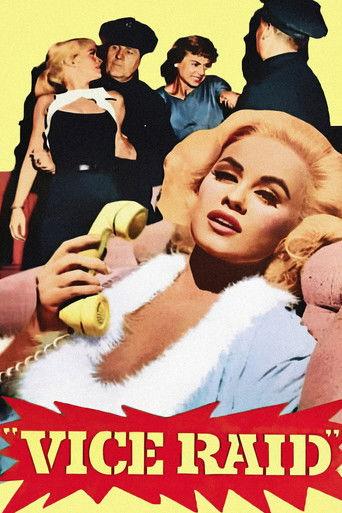 Vice Raid film afişi