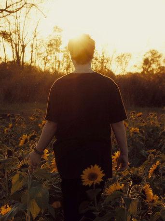 The Universe film afişi