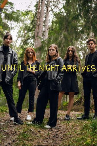 Until the Night Arrives film afişi