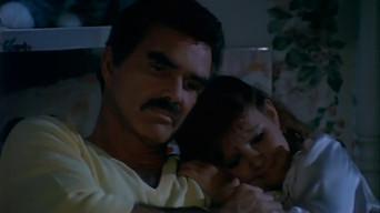 The Diary of Molly Newton