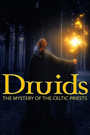 Druids: The Mystery of Celtic Priests film afişi