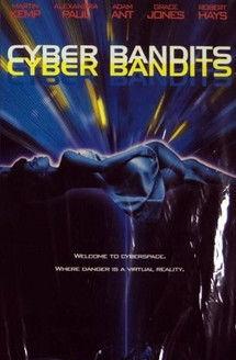 Cyber Bandits film afişi