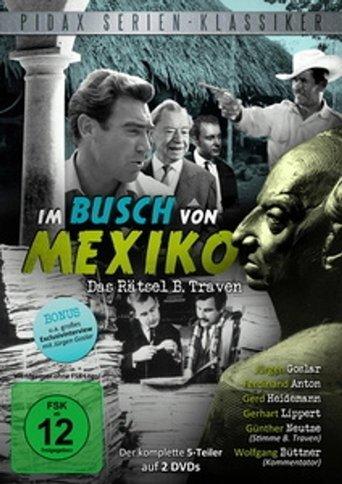 Im Busch von Mexiko dizi afişi