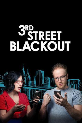 3rd Street Blackout film afişi