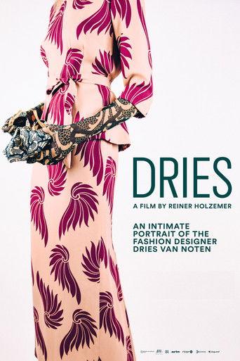Dries film afişi