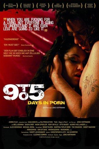 9to5: Days in Porn film afişi