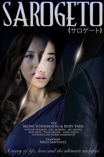 Sarogeto film afişi