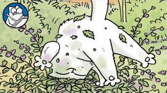 Simon Paints 'Catnip'