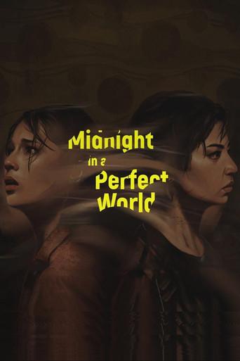 Midnight in a Perfect World film afişi