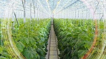 Can Tech Save the World?