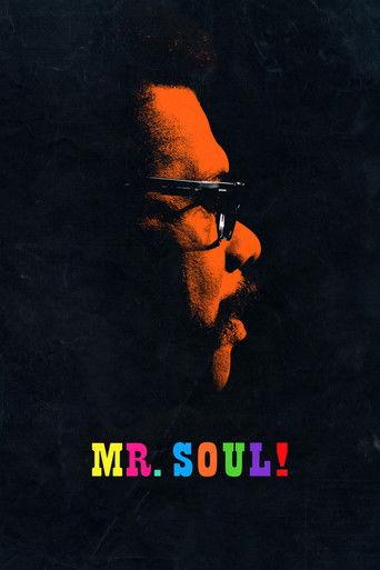 Mr. SOUL! film afişi