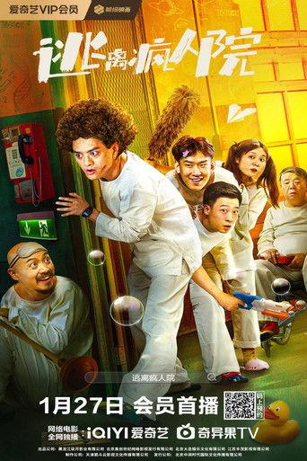 Escaping The Madhouse film afişi