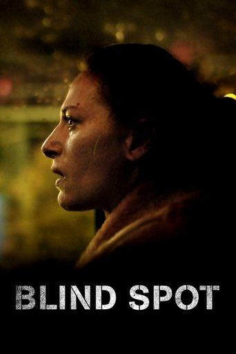 Blind Spot film afişi