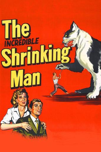 The Incredible Shrinking Man film afişi