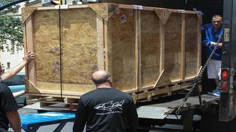 Flying High and Sinking Deep