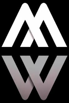 Les Reportages de Martin Weill dizi afişi