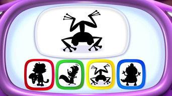 Moonlight Night Flight