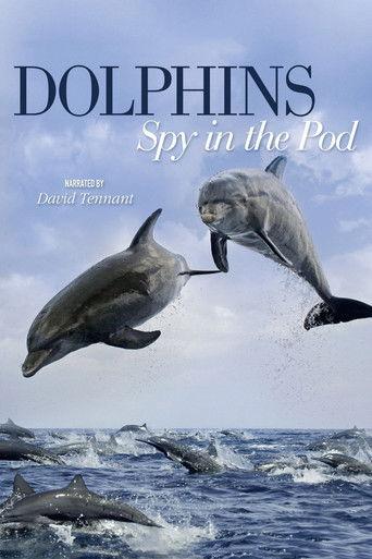 Dolphins: Spy in the Pod dizi afişi