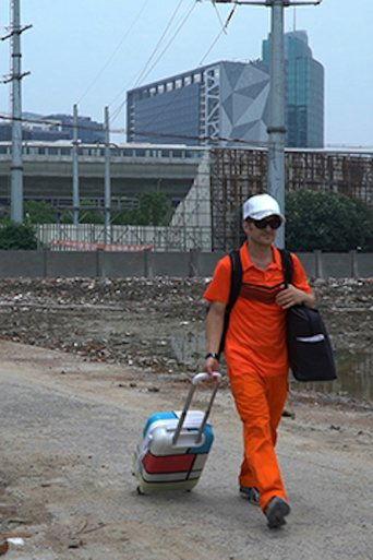 The Swap film afişi