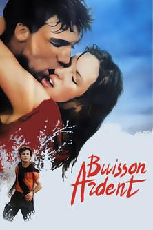 Buisson ardent film afişi