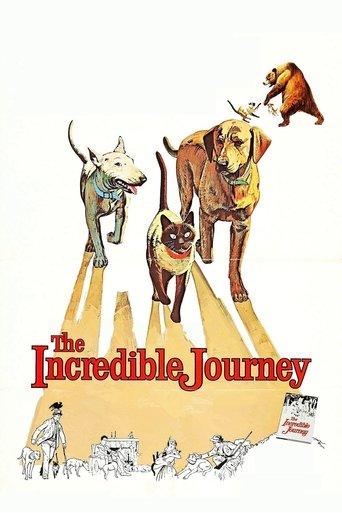 The Incredible Journey film afişi