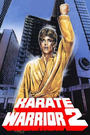 Karate Warrior 2 film afişi