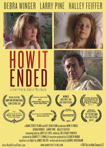 How It Ended film afişi