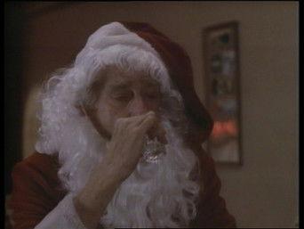 Night of the Meek / But Can She Type? / The Star