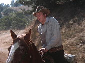 Crime Wave at Buffalo Springs