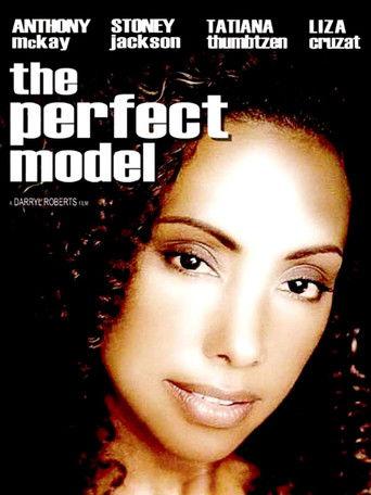 The Perfect Model film afişi