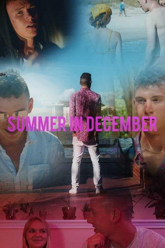 Summer In December - the Movie film afişi