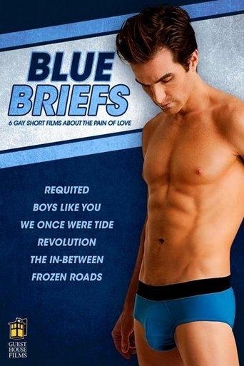Blue Briefs film afişi